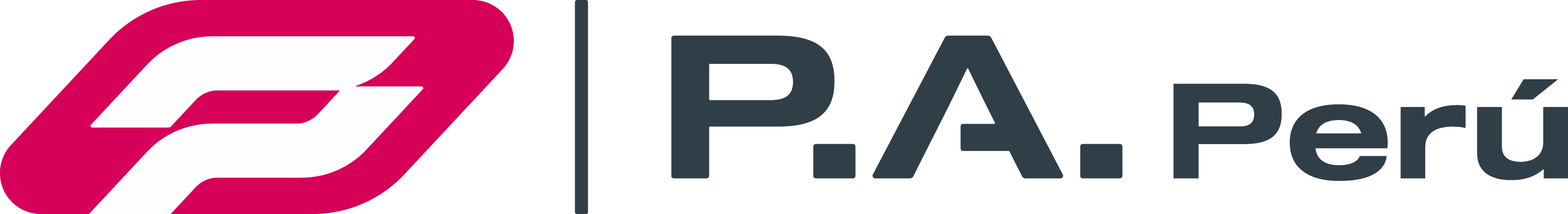 Logo de Decision Support Solutions